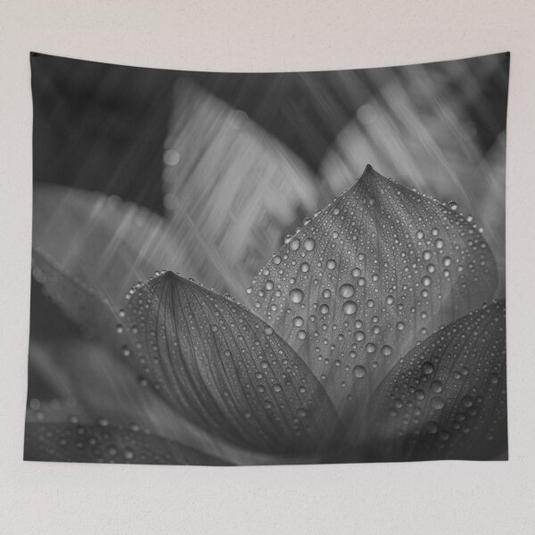 Item preview, Flora Black White Lotus Petals - Water Drops Macro Photography - Minimal Monochrome Botanical Art - Fine Art Zen Floral Print - Meditative Nature Gift designed and sold by WitchyBotanicaArt.