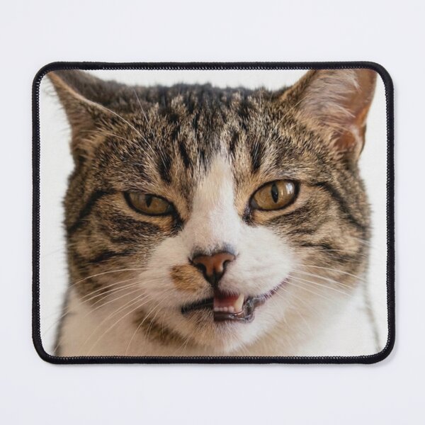 Item preview, Cat Personality Split: Grumpy and Grinning Dual Portrait  designed and sold by Artgirldhanya.