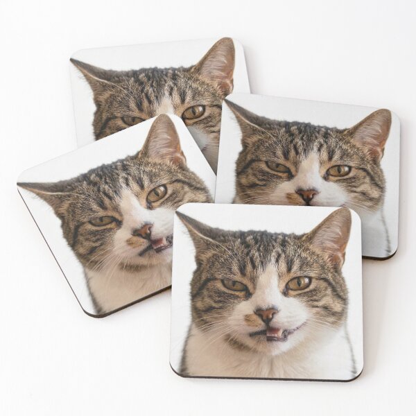 Item preview, Cat Personality Split: Grumpy and Grinning Dual Portrait  designed and sold by Artgirldhanya.