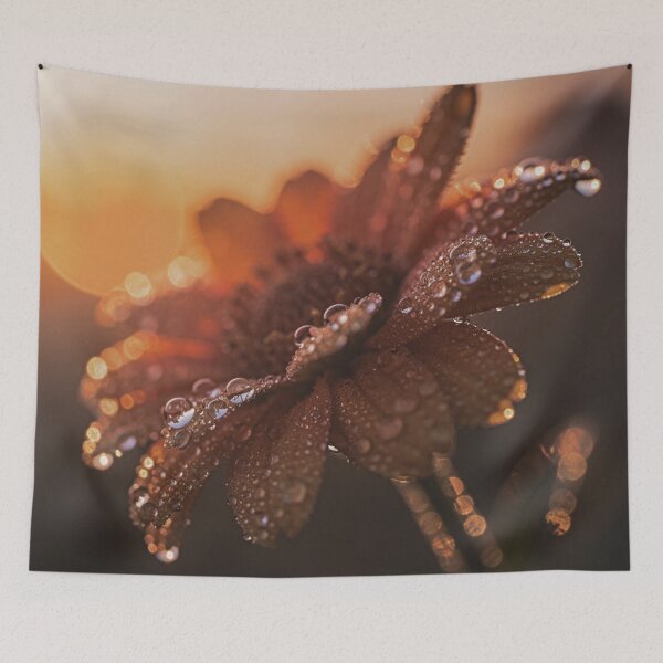 Item preview, Golden Hour Dew Drops Macro Photography - Sunset Daisy Warm Botanical Art - Amber Glow Fine Art Floral Print - Autumn Nature Lover Gift designed and sold by WitchyBotanicaArt.