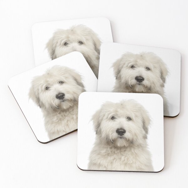 Item preview, Adorable Komondor puppy for Cute Mop dog puppy lovers designed and sold by LazyOwlStore.
