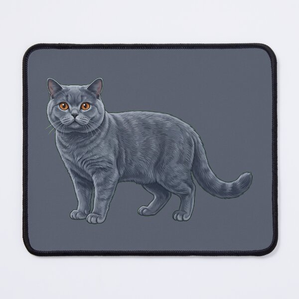 Item preview, Cute Hand-Painted British Shorthair Cat Illustration designed and sold by SYCESTORE.