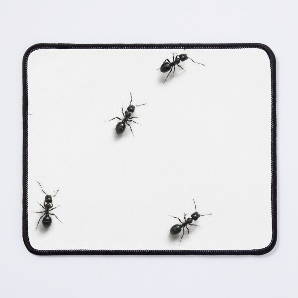 Item preview, Black Ants Scattered on a White designed and sold by Maria Dryfhout.