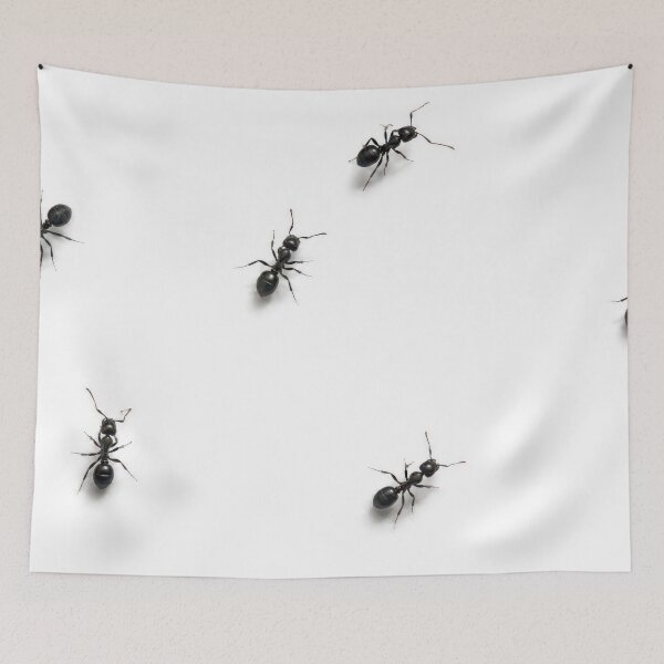 Item preview, Black Ants Scattered on a White designed and sold by Maria Dryfhout.