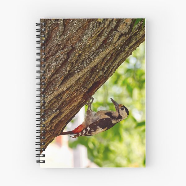 Item preview, Wild Spotted Woodpecker Tree Nest designed and sold by GraffiTimi.