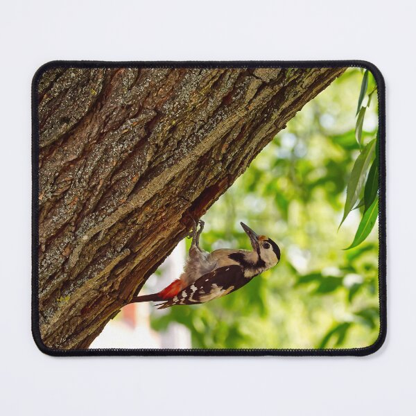 Item preview, Wild Spotted Woodpecker Tree Nest designed and sold by GraffiTimi.