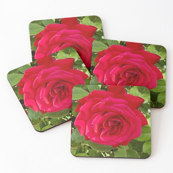 Artikelvorschau, Velvet Red Rose Bloom Photography | Romantic Garden Flower Nature Wall Art entworfen und verkauft von Zaitmiprints.