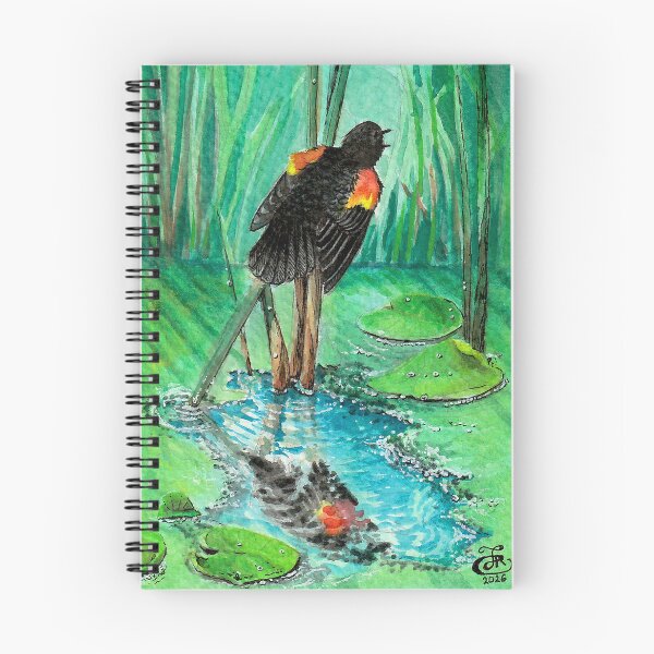 Item preview, Red-winged Blackbird singing designed and sold by Jessicas-Corner.