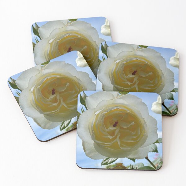 Item preview, Elegant White Rose Bloom Photography | Pure Garden Flower Nature Wall Art designed and sold by Zaitmiprints.