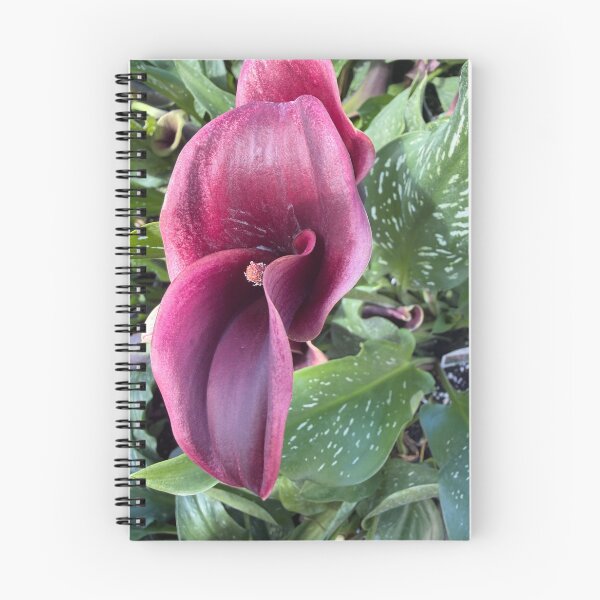 Item preview, A Whisper Folded in Violet designed and sold by PetalWhisperer.