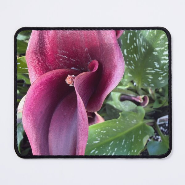 Item preview, A Whisper Folded in Violet designed and sold by PetalWhisperer.
