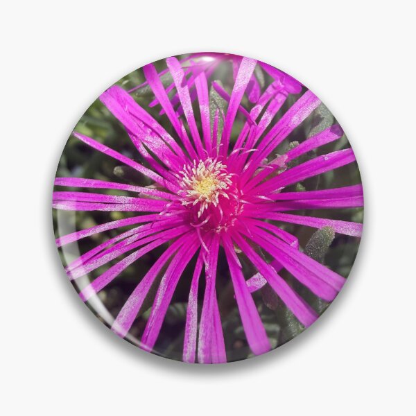 Item preview, Blossoms that Sang in Sunlight designed and sold by PetalWhisperer.