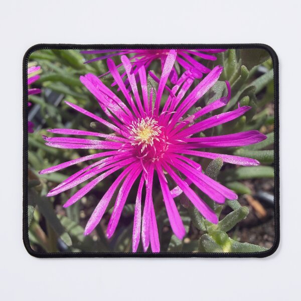 Item preview, Blossoms that Sang in Sunlight designed and sold by PetalWhisperer.