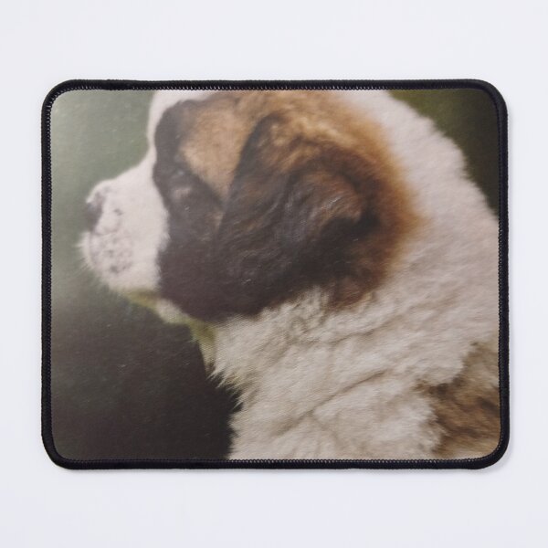 Item preview, And ability to see a future. And would interest an own dogs , on a case unautorized run. designed and sold by Valgasnews011.