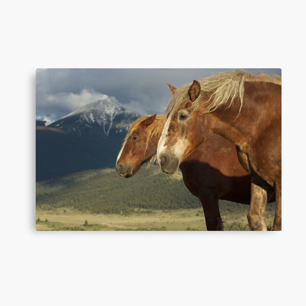 In The Lead Canvas Print