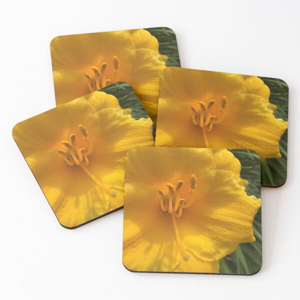Item preview, The Daylily that Woke in the Morning designed and sold by PetalWhisperer.