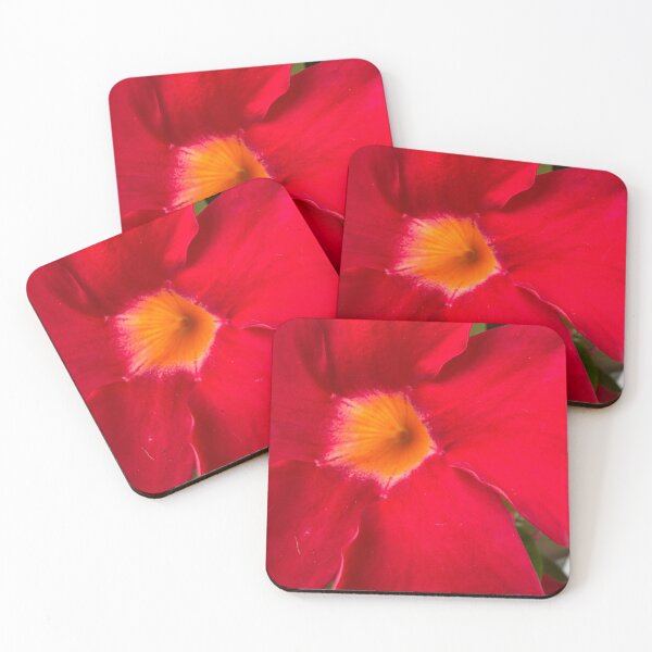 Item preview, The Flower that Carried the Sun designed and sold by PetalWhisperer.