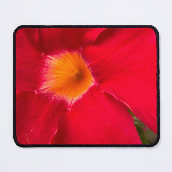 Item preview, The Flower that Carried the Sun designed and sold by PetalWhisperer.