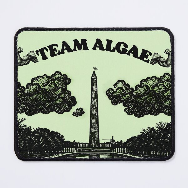 Item preview, Team Algae 2 B/W: Funny Washington DC Reflecting Pool Meme designed and sold by QUOT-s.