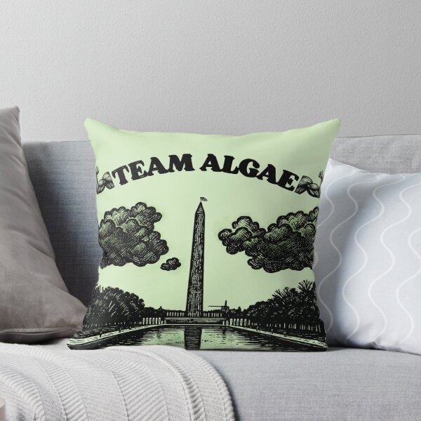 Item preview, Team Algae 2 B/W: Funny Washington DC Reflecting Pool Meme designed and sold by QUOT-s.