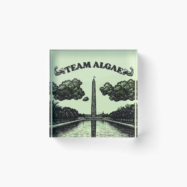 Item preview, Team Algae 2 B/W: Funny Washington DC Reflecting Pool Meme designed and sold by QUOT-s.