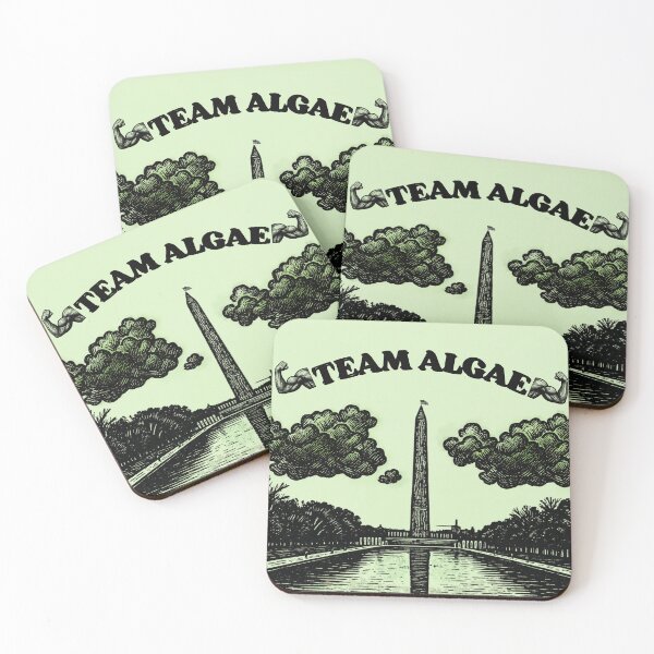 Item preview, Team Algae 2 B/W: Funny Washington DC Reflecting Pool Meme designed and sold by QUOT-s.