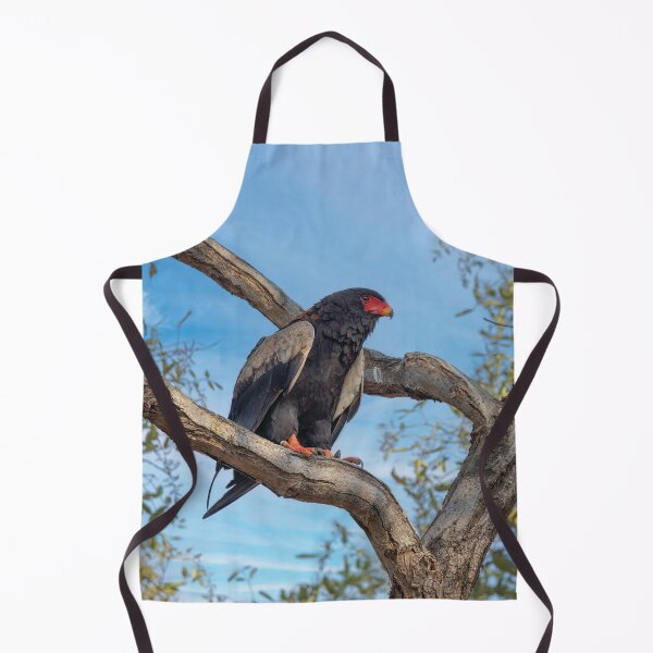 Item preview, Bateleur Eagle designed and sold by Kay Brewer.