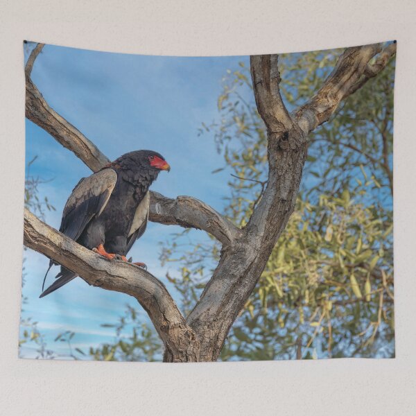 Item preview, Bateleur Eagle designed and sold by Kay Brewer.