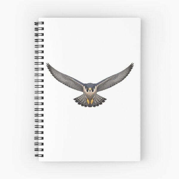 Item preview, Peregrine Falcon designed and sold by jamesgerardking.