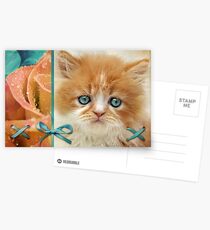 Raindrops on Roses and Whiskers on Kittens Postkarten