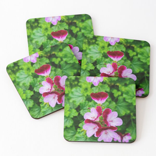 Item preview, Pelargonium flowers designed and sold by nastiaart.