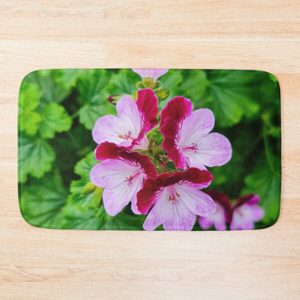 Item preview, Pelargonium flowers designed and sold by nastiaart.
