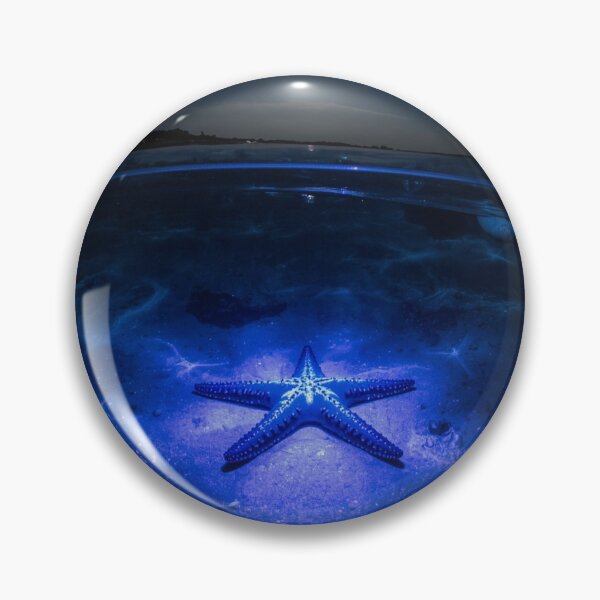 Item preview, starfish designed and sold by SparkAndFreee.