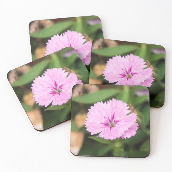 Item preview, Dianthus_02 designed and sold by ROSE ANN BANILAR.