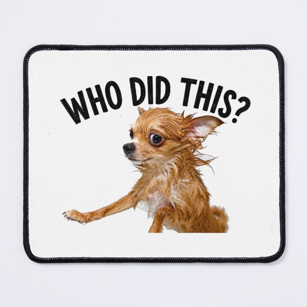 Item preview, Who Did This? Funny Wet Chihuahua Meme T-Shirt designed and sold by adamlemon12.
