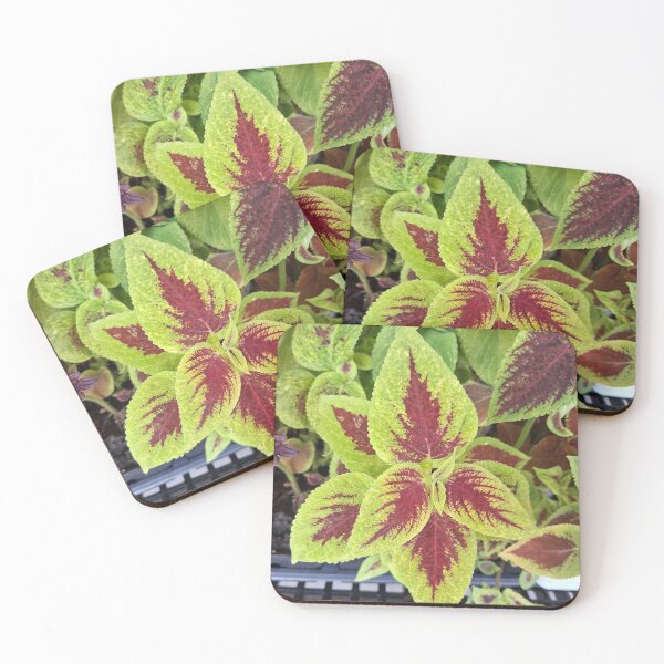 Item preview, Vibrant Leaves  designed and sold by JanLaw83.