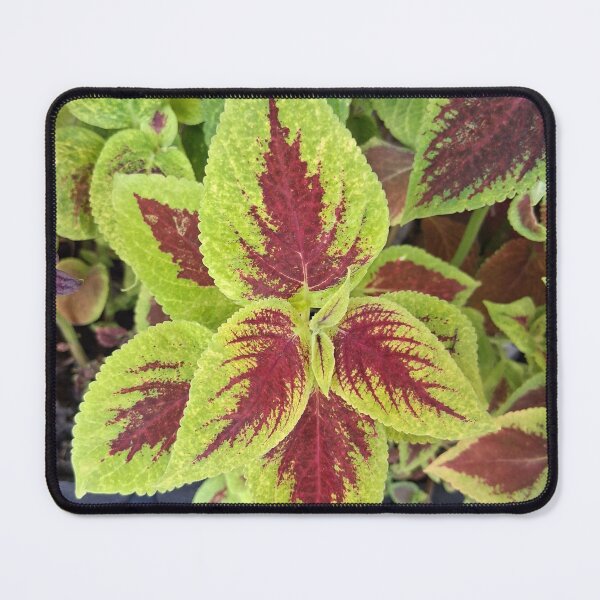 Item preview, Vibrant Leaves designed and sold by JanLaw83.