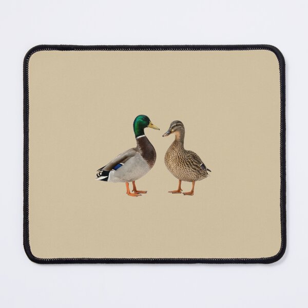 Item preview, Mallard Duck Pair  designed and sold by ArunDandiboina.