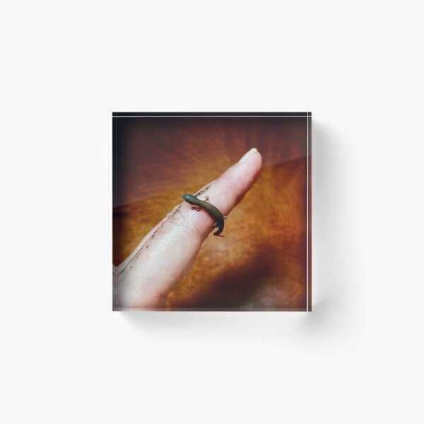 Item preview, Tiny Lizard On My Finger designed and sold by MonCreedon.