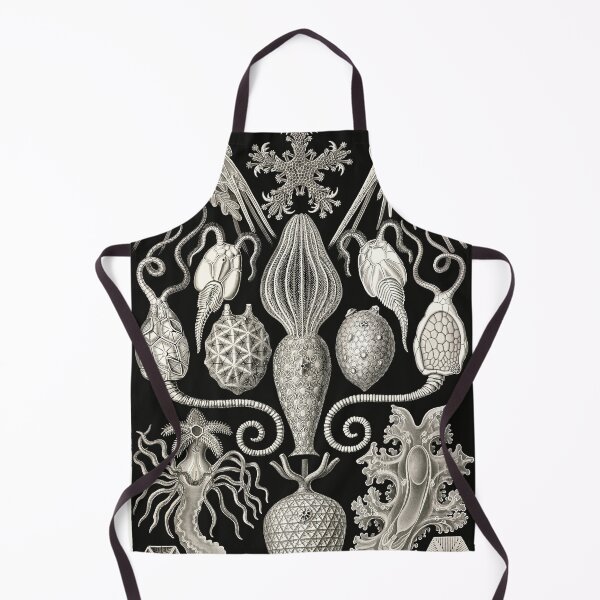 Item preview, Amphoridea, Kunstformen der Natur Ernst Haeckel designed and sold by Glimmersmith.