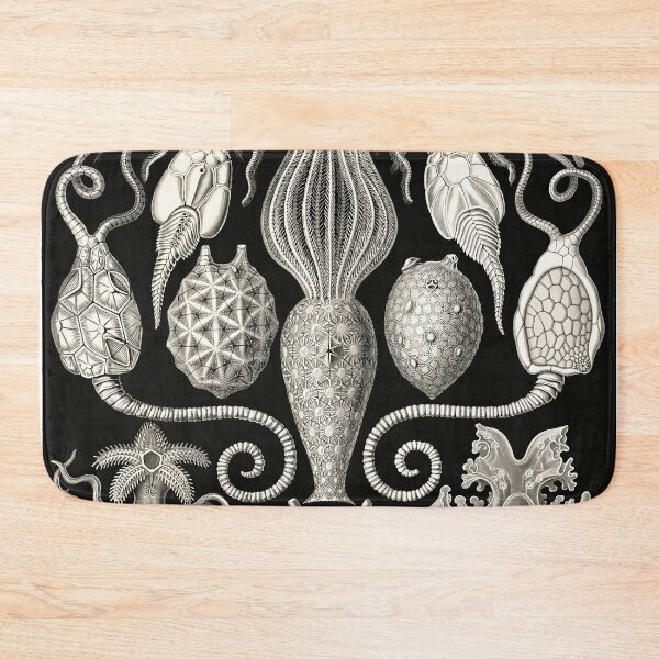 Item preview, Amphoridea, Kunstformen der Natur Ernst Haeckel designed and sold by Glimmersmith.