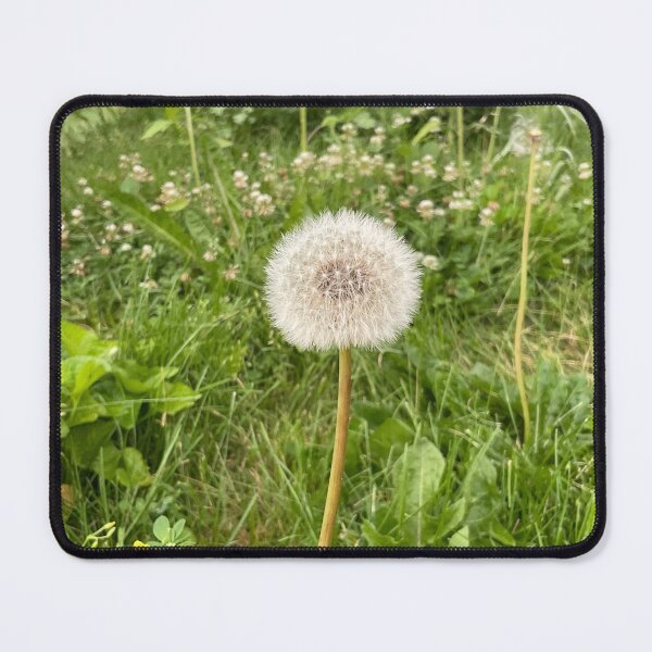 Item preview, Dandy Focus designed and sold by Abeink1030.