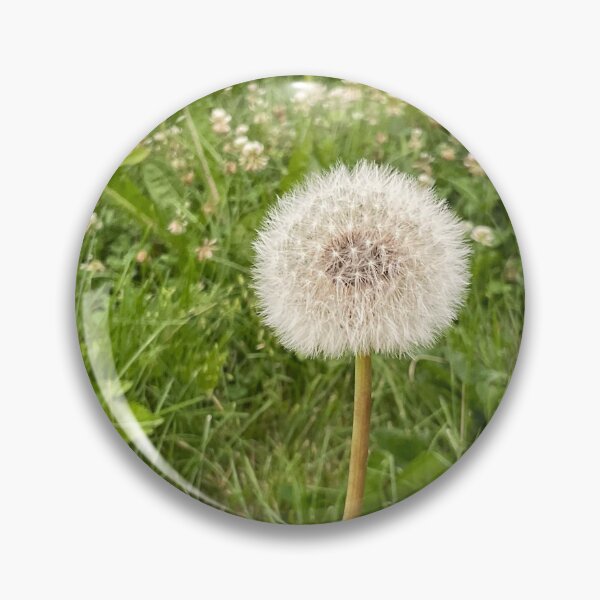 Item preview, Dandy Focus designed and sold by Abeink1030.