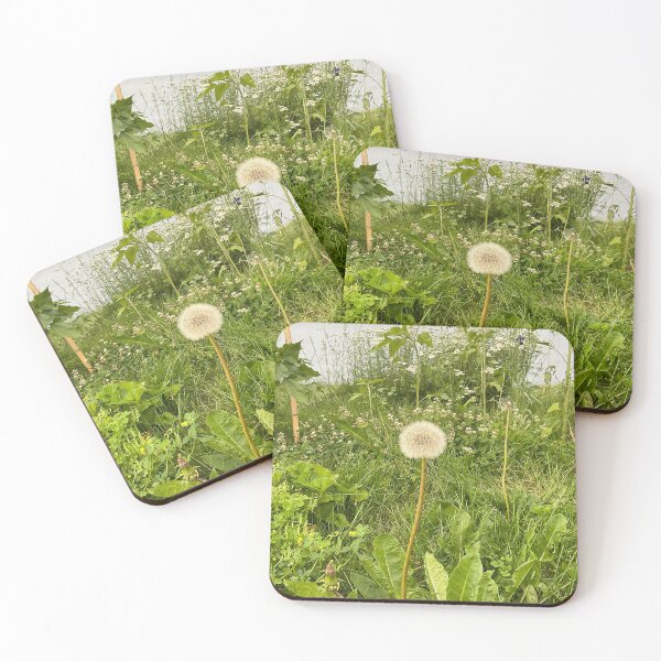 Item preview, Dandy Focus 3 designed and sold by Abeink1030.