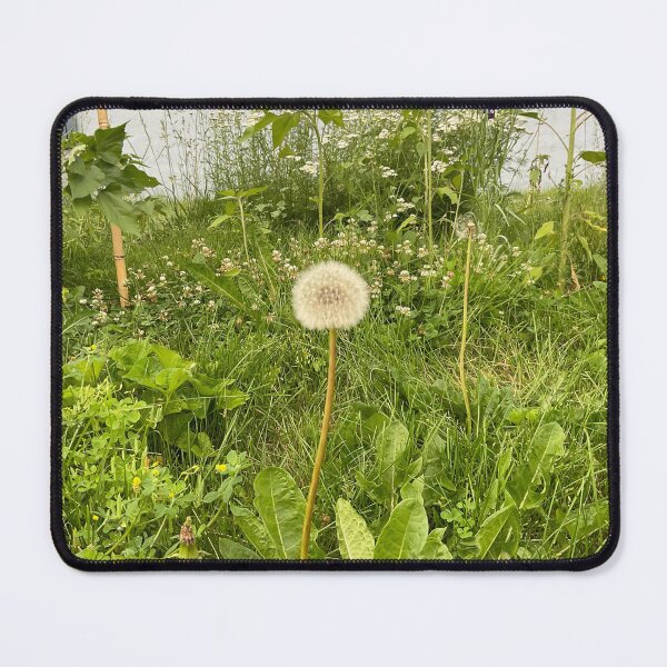 Item preview, Dandy Focus 3 designed and sold by Abeink1030.
