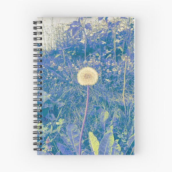 Item preview, Dandy Focus 4 designed and sold by Abeink1030.