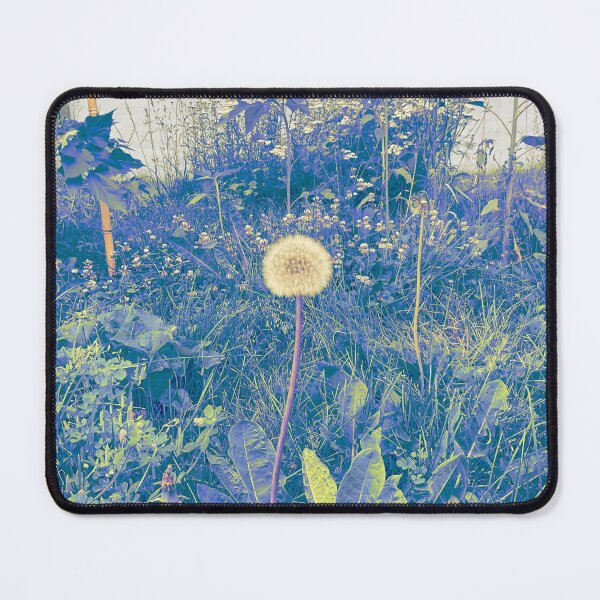 Item preview, Dandy Focus 4 designed and sold by Abeink1030.