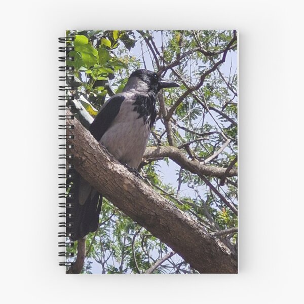 Item preview, A crow on a branch designed and sold by Lunar-Dragon.