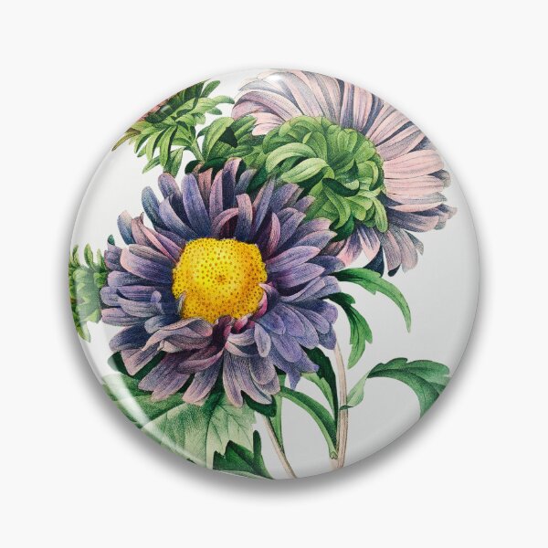 Item preview, China Aster Flowers Botanical Illustration designed and sold by TheRetroArtRoom.