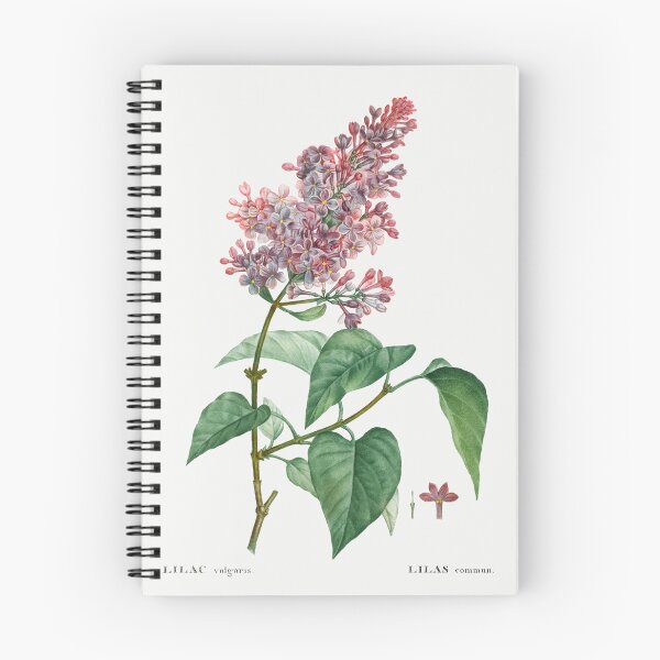 Item preview, Common Lilac Flowers Botanical Illustration designed and sold by TheRetroArtRoom.